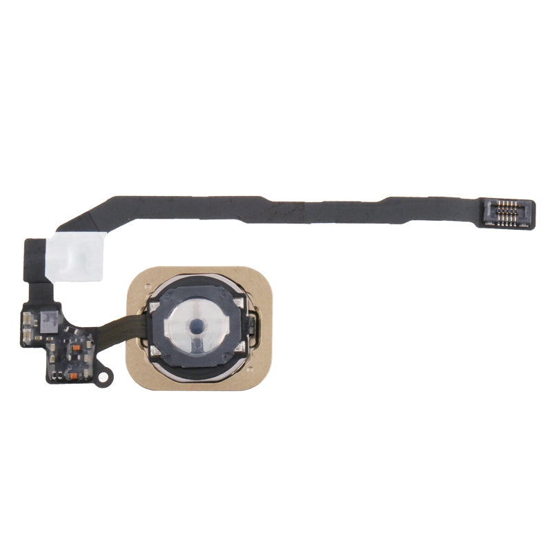 Home Key Button with PCB Membrane Flex Cable for iPhone 5S , No Fingerprint Identification Function(Gold)