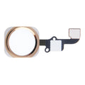 Home Button Flex Cable for iPhone 6 & 6 Plus, Not Supporting Fingerprint Identification(Gold)