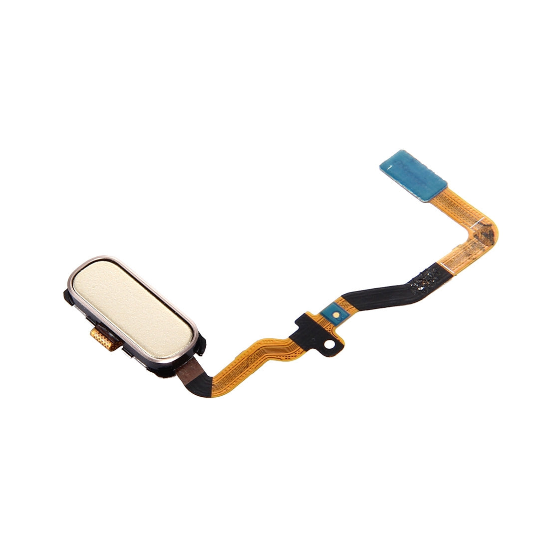 For Galaxy S7 / G930 Home Button Flex Cable(Gold)